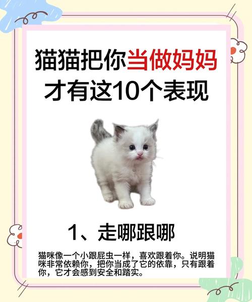 喵:我妈咪已经有主了,请你离她远一点