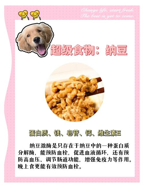 狗可以吃打豆浆豆渣吗