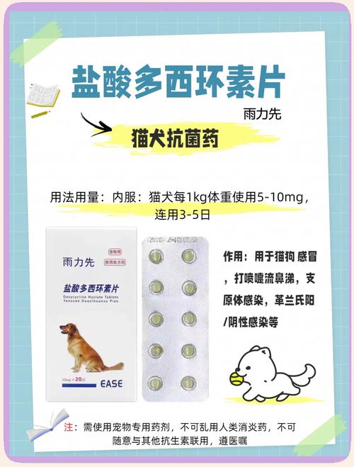 狗狗打完疫苗感冒了能吃感冒药吗
