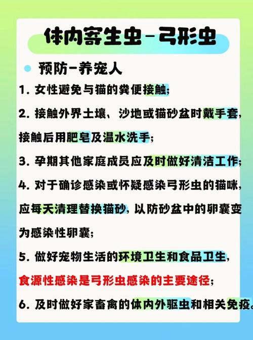 怀孕了不能养狗狗吗?狗狗会传染弓形虫吗?