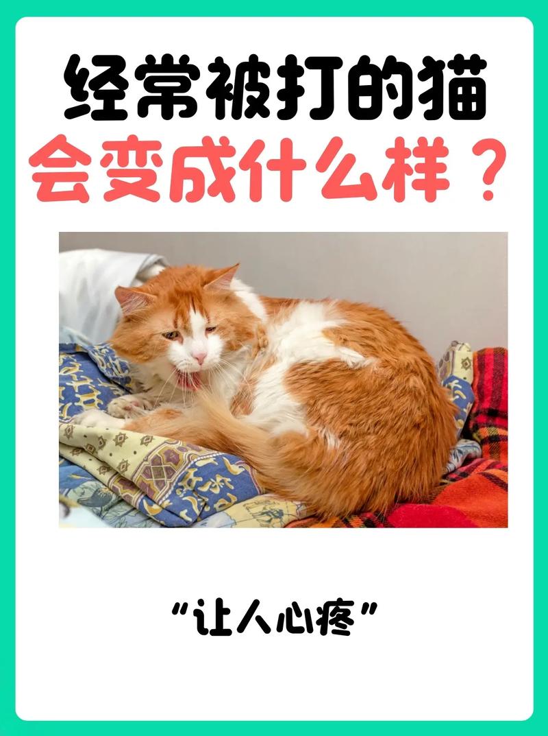猫咪能听懂主人骂它吗