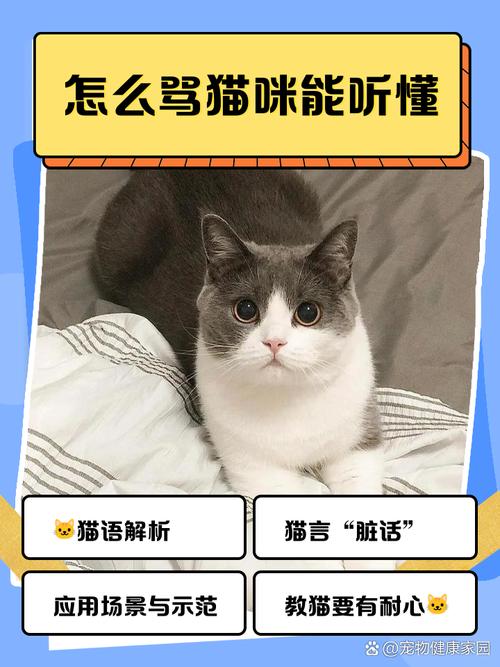 为什么猫咪会记住主人的打骂呢?