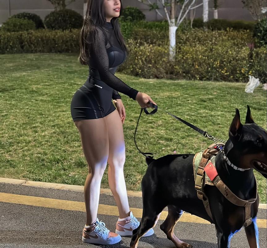 女生适合养的护卫犬