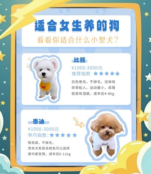 适合女生&新手养的狗|8种狗狗的优缺点