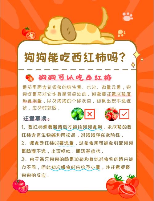 狗狗能吃多少番茄酱拌狗粮