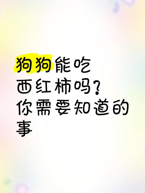 狗狗为啥不能吃西红柿