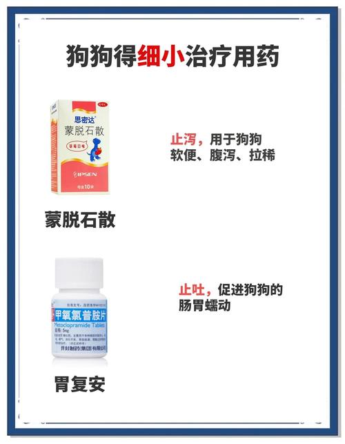 狗狗得了细小应该怎么治疗?