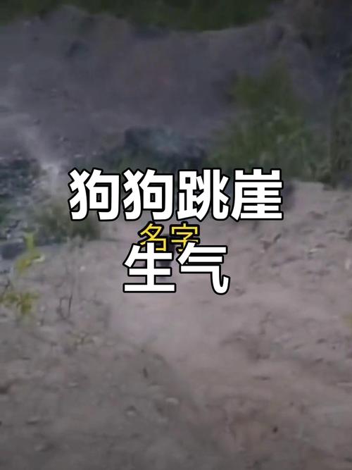 狗狗后腿韧带拉伤怎么治疗