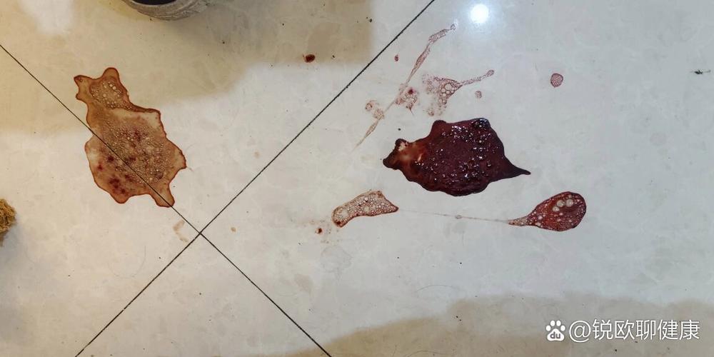 狗狗肠道出血的症状