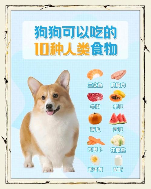 哪些人类食物是狗狗可以吃的呢?