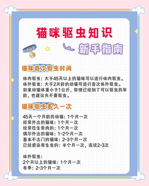 猫咪体内驱虫注意事项