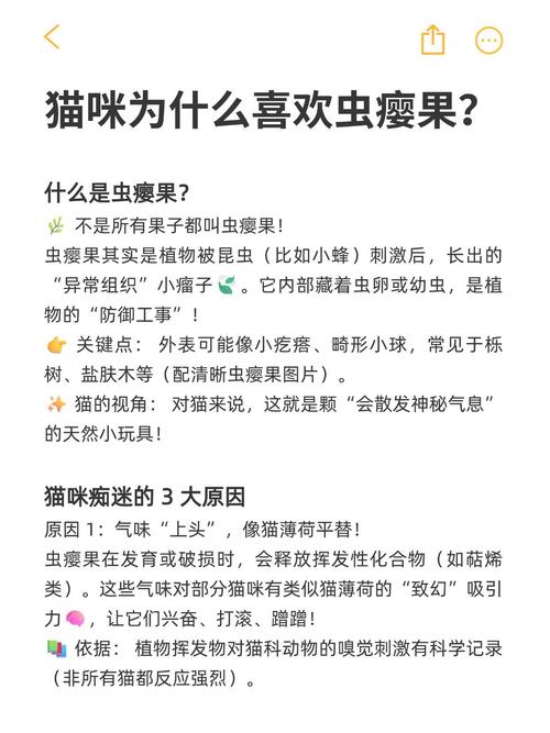 猫咪可以吃虫瘿果吗?