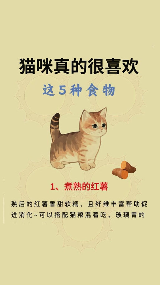 猫能不能吃山楂