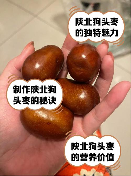 狗狗可以吃枣子吗?