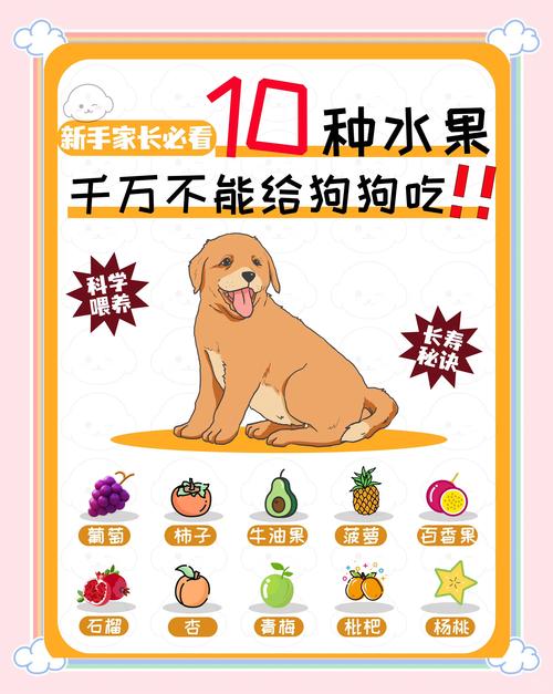 这10种蔬果狗狗“不可以吃”,比较严重的可至死