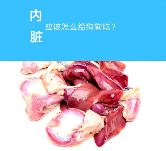 狗狗能吃的内脏
