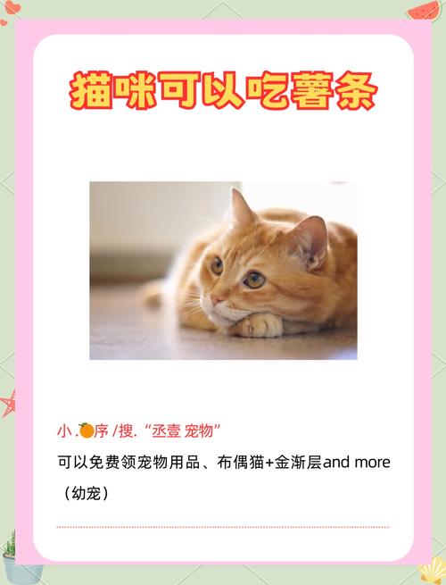 猫咪可以吃薯条吗