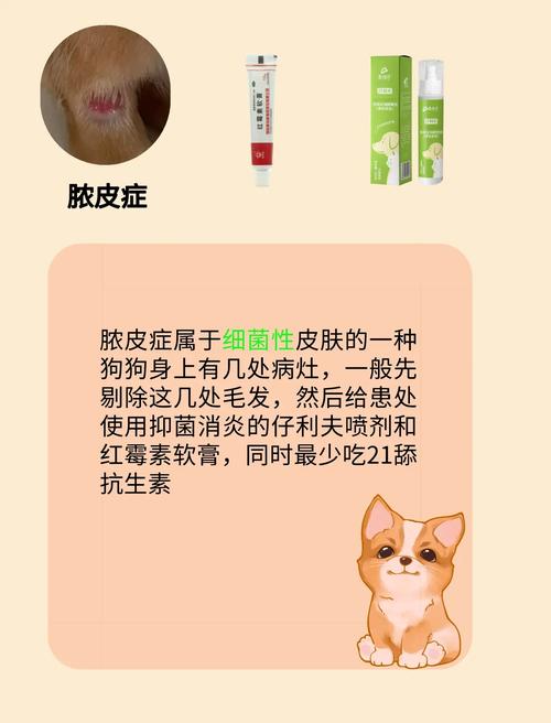 小狗狗皮肤病擦什么药管用