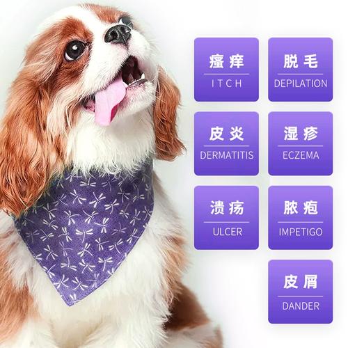 狗狗皮肤病用人类什么药