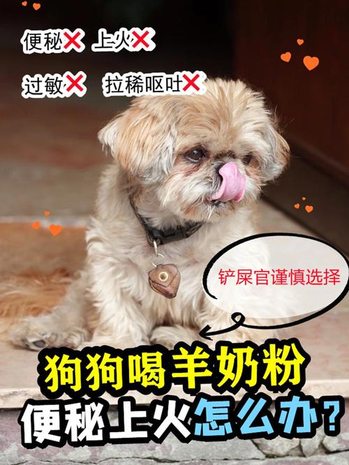 狗狗喝了一天羊奶粉拉稀是怎么了?