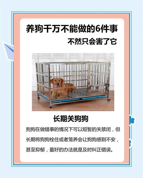 什么品种的狗比较好养又不挑食