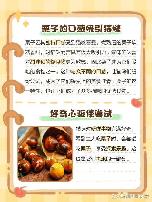 猫咪吃栗子会有哪些好处?