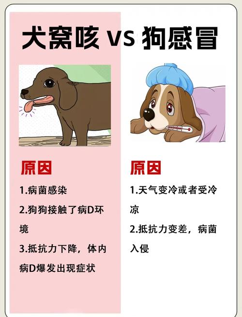 狗狗感冒一般几天能好
