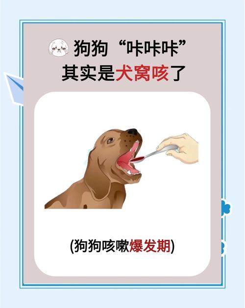 狗的喉咙哑了怎么恢复