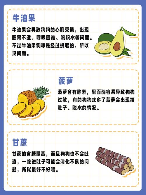 不能喂狗的6种水果,再喂就是“谋杀”!