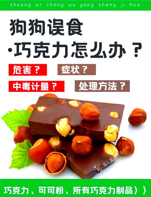 狗狗尿血,警惕十种跟巧克力一样毒的食物