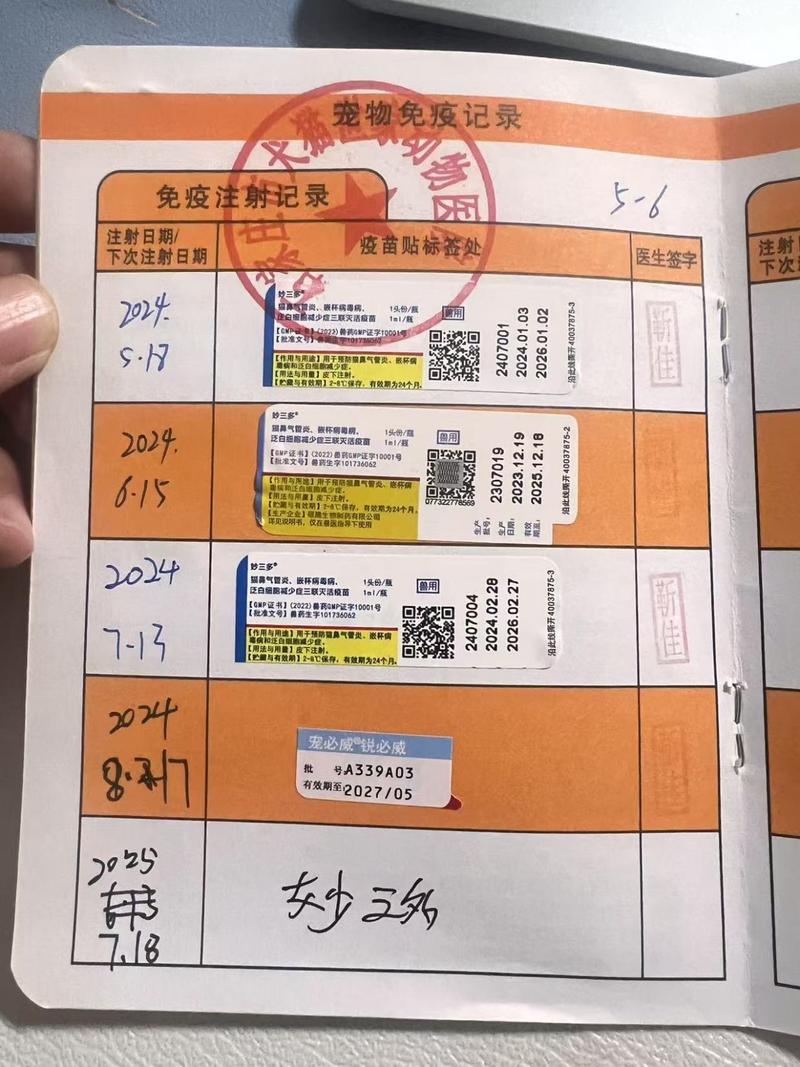 给猫咪打疫苗,能去宠物店吗?