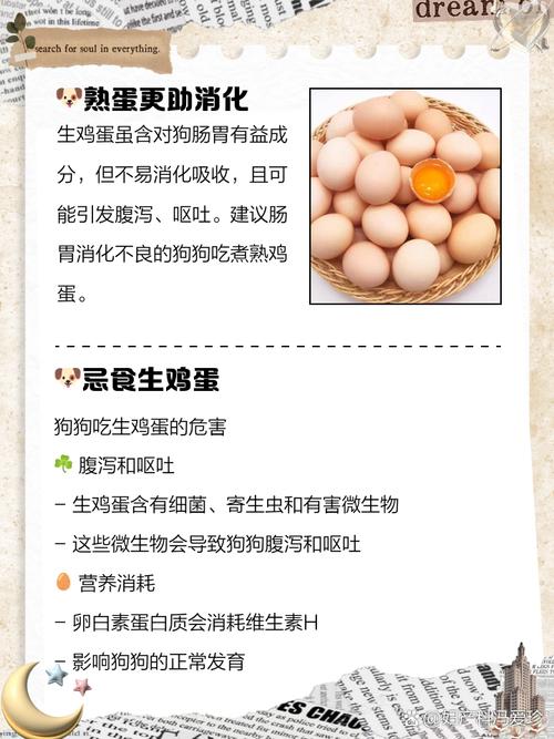 狗能吃鸡蛋不,狗狗一个星期可以吃多少鸡蛋