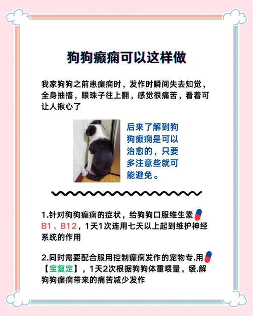 狗狗癫疯怎么紧急处理
