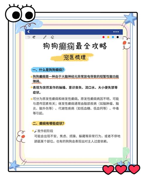 狗狗癫疯怎么控制