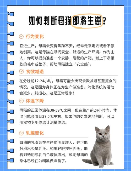 猫咪生产前的征兆及产后护理