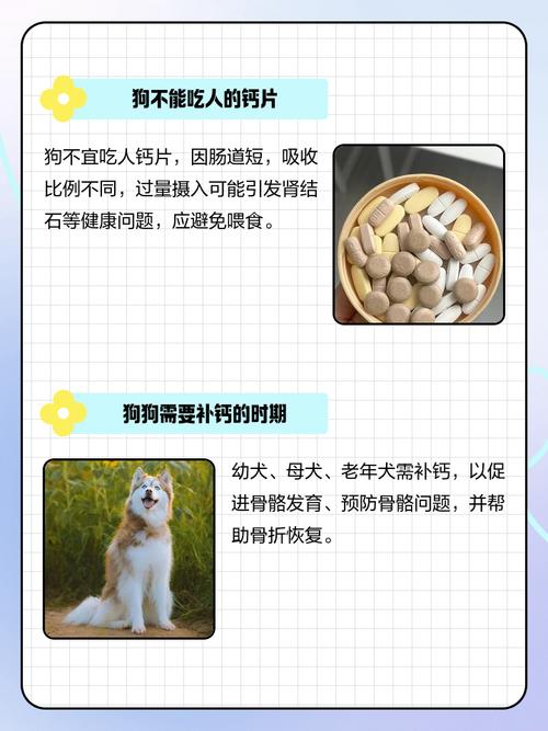给狗狗吃人食用的钙片会有什么影响?