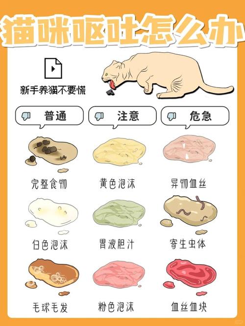 猫吐黄水拉稀怎么回事