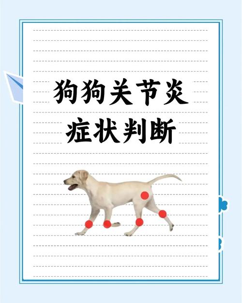 狗狗关节炎的症状有哪些表现呢?