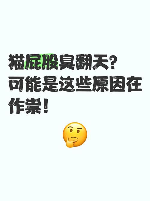 小猫屁股臭臭的怎么办