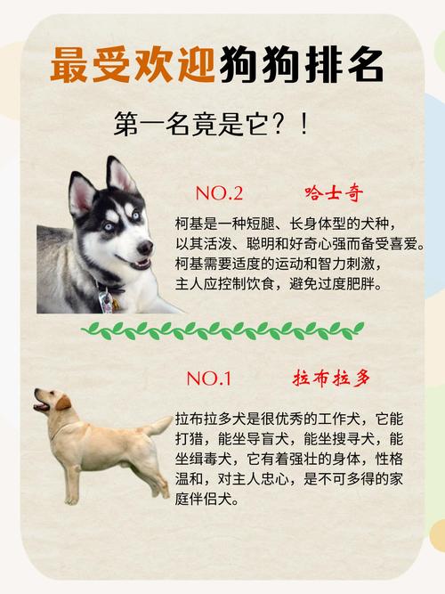 比较受欢迎狗狗排名榜(世界前十狗排名2023)