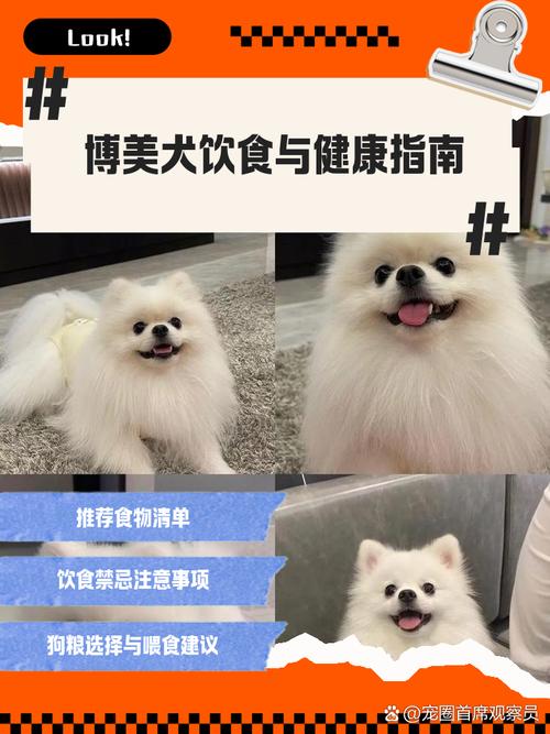 博美不小心吃了锅巴怎么办?
