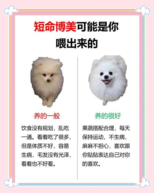 狗狗能吃锅巴吗