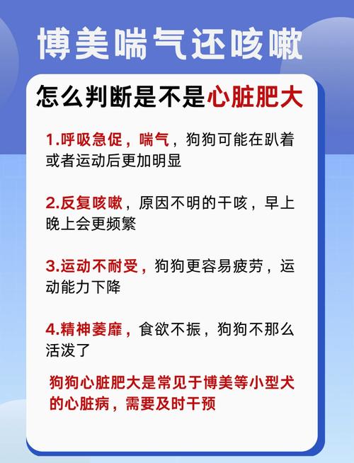 狗狗坐车喘气喘的很快