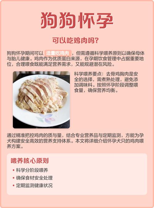 狗怀孕吃鸡肉会滑胎吗