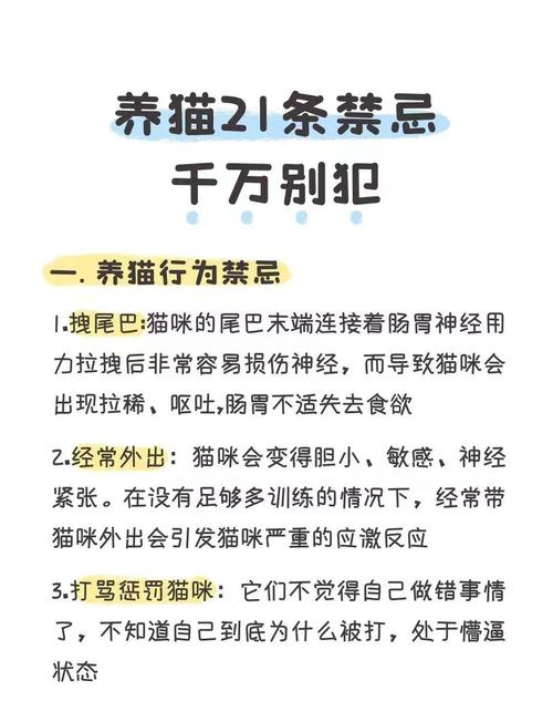 猫咪养不熟很凶还咬人怎么办