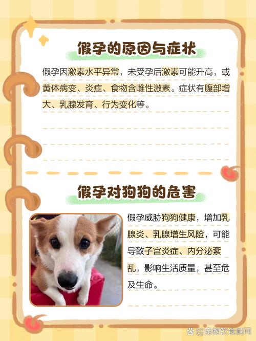 狗狗消化不良吃什么药