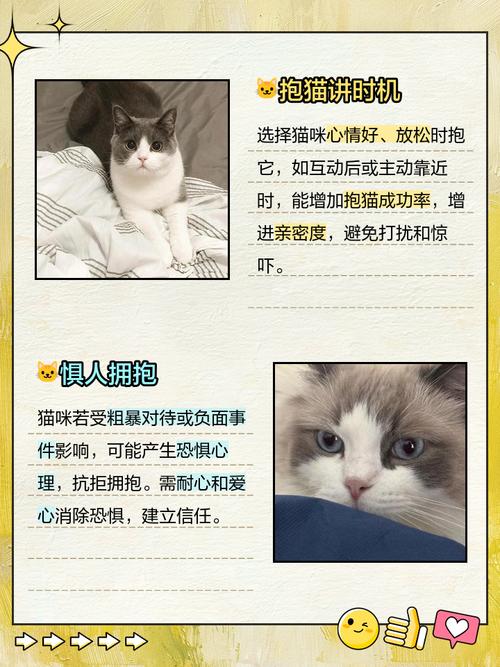 为什么奶牛猫很反感被抱?