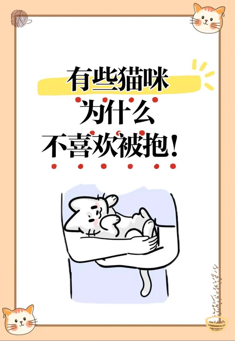 为什么猫不喜欢被抱