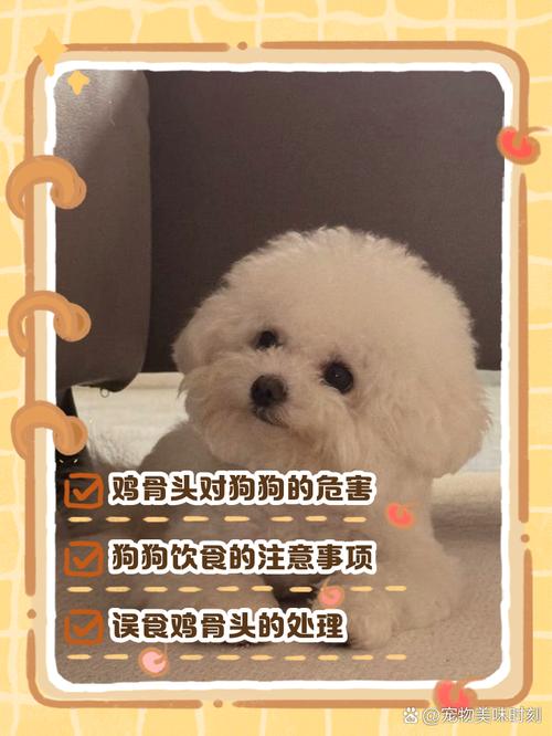 为什么狗狗不吃鸟肉