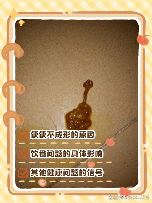 狗狗大便稀软不成形怎么办?